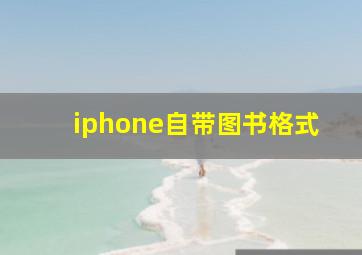 iphone自带图书格式