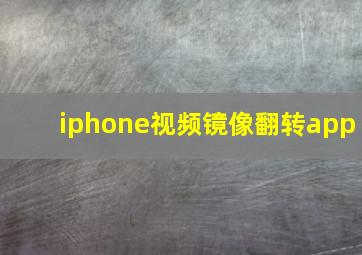 iphone视频镜像翻转app