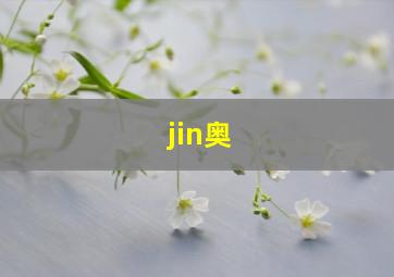 jin奥