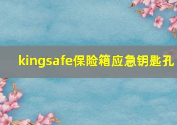 kingsafe保险箱应急钥匙孔