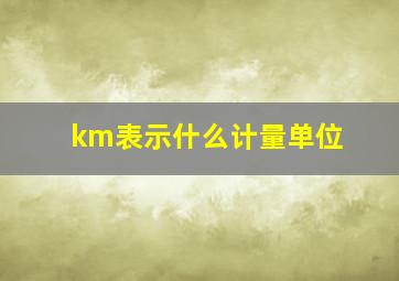 km表示什么计量单位