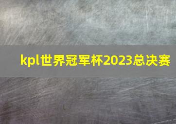 kpl世界冠军杯2023总决赛