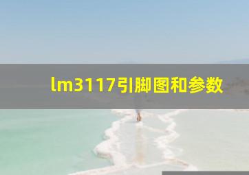 lm3117引脚图和参数