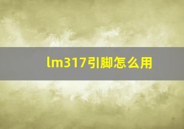 lm317引脚怎么用