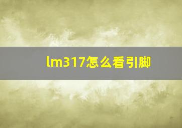 lm317怎么看引脚