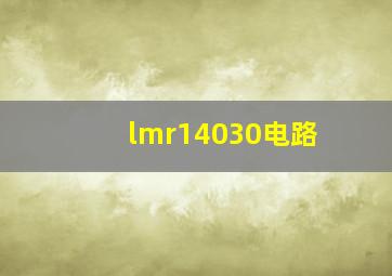 lmr14030电路