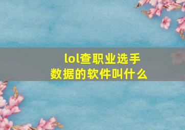 lol查职业选手数据的软件叫什么