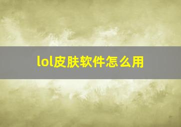 lol皮肤软件怎么用