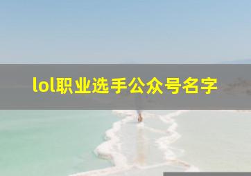 lol职业选手公众号名字