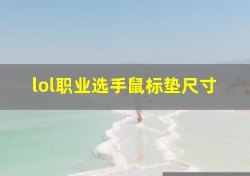 lol职业选手鼠标垫尺寸