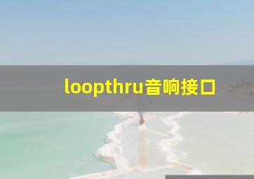 loopthru音响接口