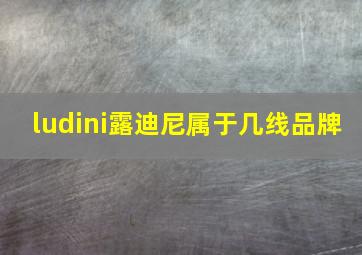 ludini露迪尼属于几线品牌