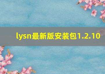 lysn最新版安装包1.2.10