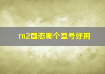 m2固态哪个型号好用