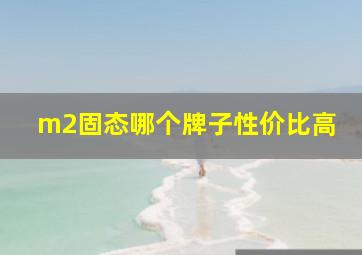 m2固态哪个牌子性价比高