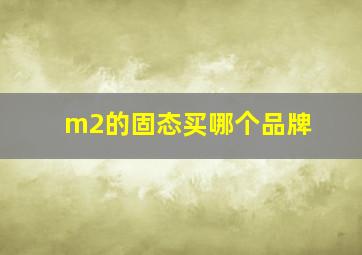 m2的固态买哪个品牌