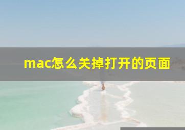 mac怎么关掉打开的页面