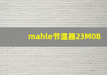 mahle节温器23M08