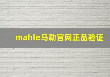 mahle马勒官网正品验证