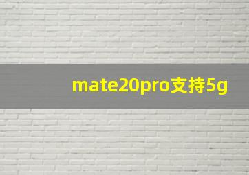 mate20pro支持5g