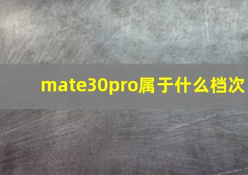 mate30pro属于什么档次