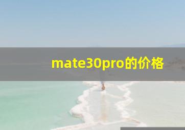 mate30pro的价格