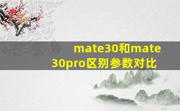 mate30和mate30pro区别参数对比