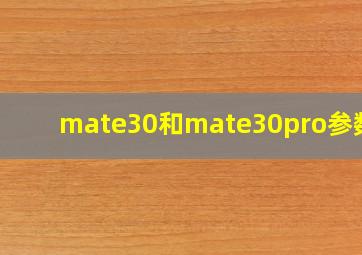 mate30和mate30pro参数表