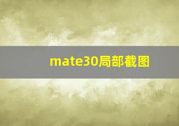 mate30局部截图