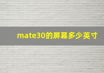 mate30的屏幕多少英寸