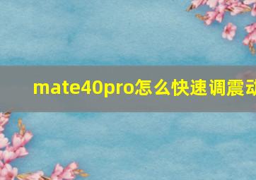 mate40pro怎么快速调震动