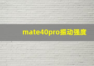 mate40pro振动强度