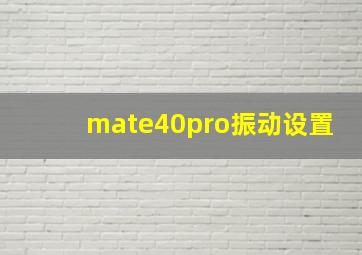 mate40pro振动设置