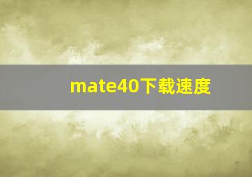 mate40下载速度