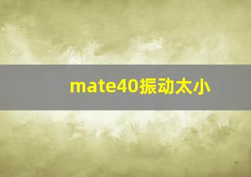 mate40振动太小