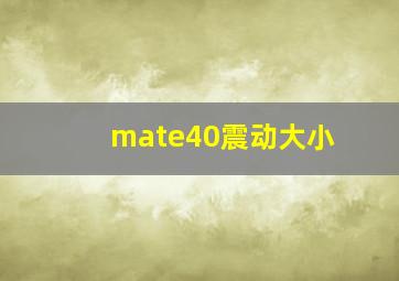 mate40震动大小