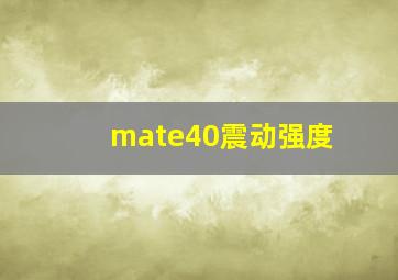 mate40震动强度