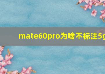 mate60pro为啥不标注5g