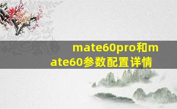 mate60pro和mate60参数配置详情