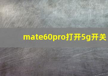 mate60pro打开5g开关