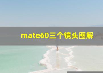 mate60三个镜头图解