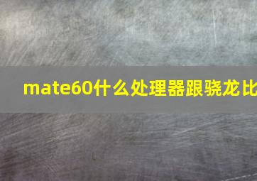 mate60什么处理器跟骁龙比