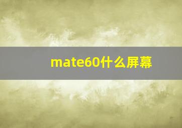 mate60什么屏幕