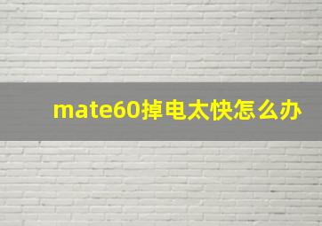 mate60掉电太快怎么办