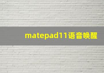 matepad11语音唤醒