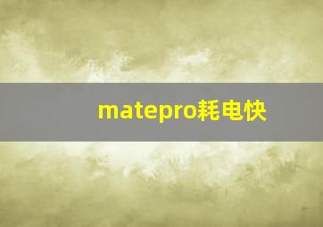 matepro耗电快