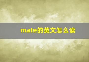 mate的英文怎么读