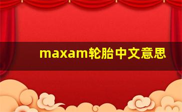 maxam轮胎中文意思