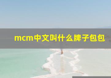 mcm中文叫什么牌子包包