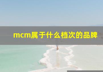 mcm属于什么档次的品牌